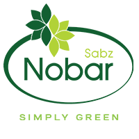 NobarSabz_Logo